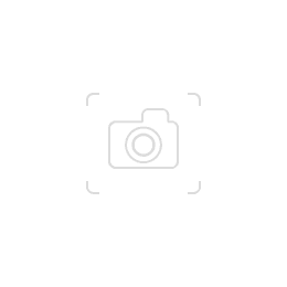 Apple iPad mini Wi-Fi 64 Gb 